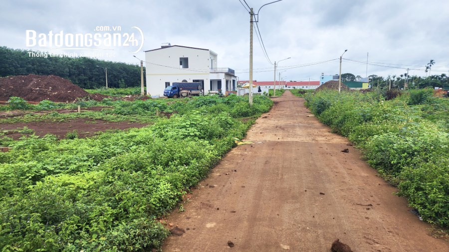 Chính chủ cần bán nhanh lô đất kề UBND Xã Phú Lộc - Krông Năng