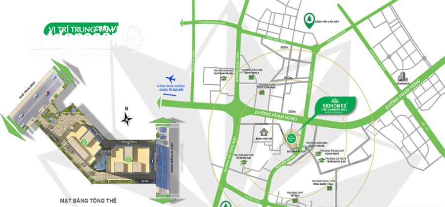 Hàng hiếm bán 1550m2 sàn thương mại Trần Bình, Nam Từ Liêm hiện đang cho thuê 