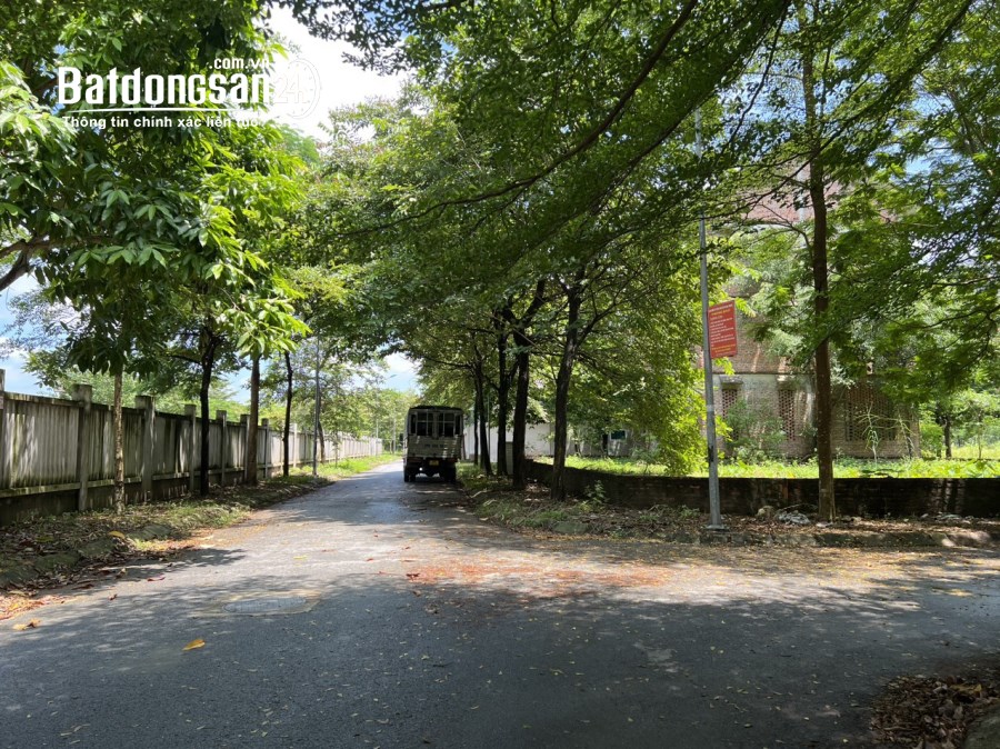 Bán 330m đất KDT Hà Phong, Tiền Phong, Mê Linh, HN. Sang tên được ngay. Giá 15 tỷ. 