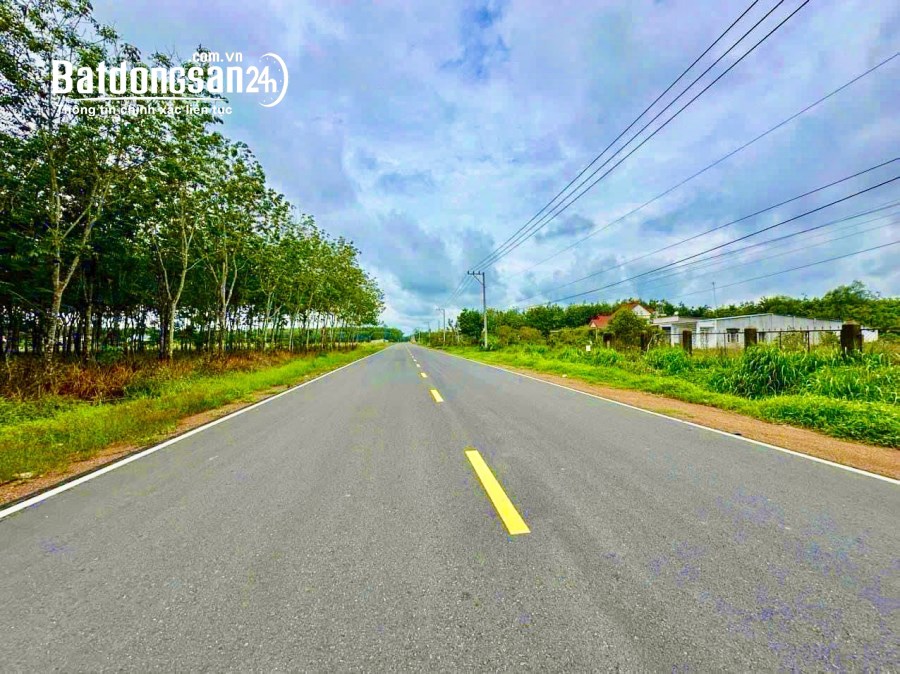 Bán đất Đường nhựa DT795, Thị trấn Tân Biên, Huyện Tân Biên