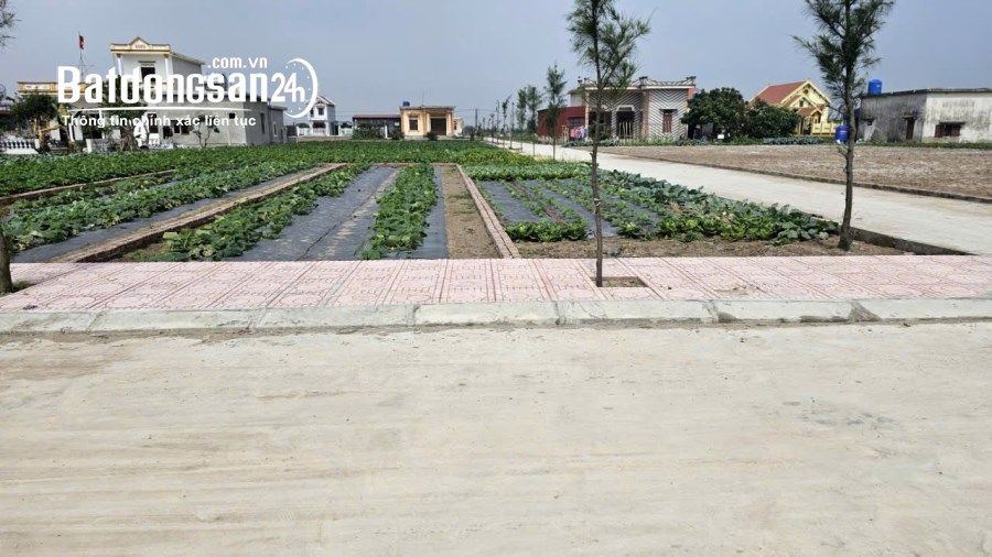 Bán đất Đường Quốc lộ 37B, Xã Giao Phong, Huyện Giao Thuỷ