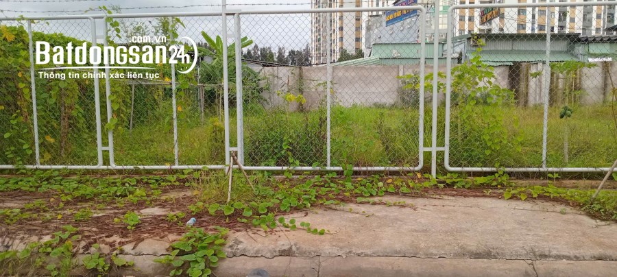 Bán đất nền phân lô KDC Phú Nhuận -  Đường Liên Phường, TP Thủ Đức (Quận 9)