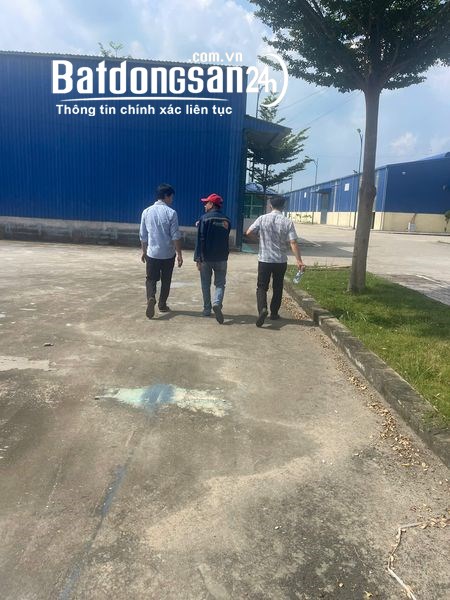 Cho thuê đất riêng, kho xưởng Đường Quốc Lộ 51, Xã An Phước, Huyện Long Thành