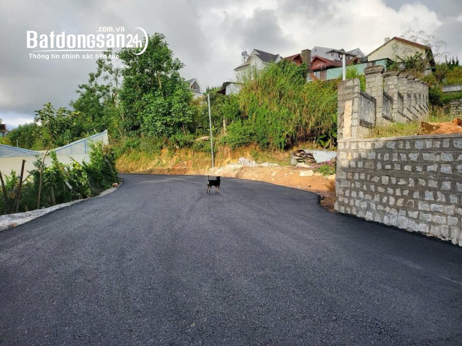 Bán đất Đường Lý Nam Đế, Phường 8, TP Đà Lạt