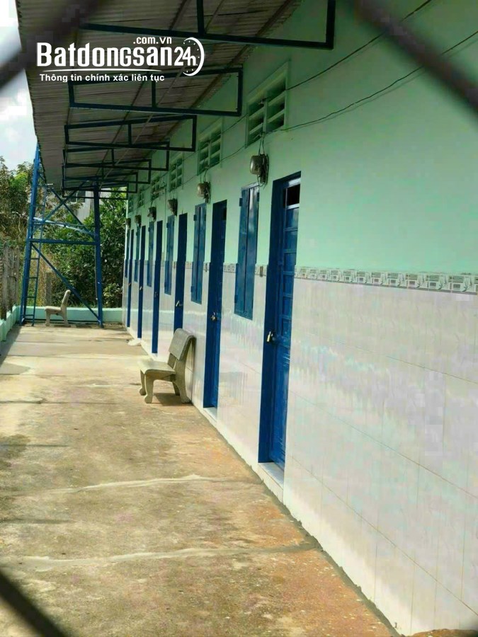 Bán nhà Đường ĐT 824, Xã Mỹ Hạnh Nam, Huyện Đức Hoà