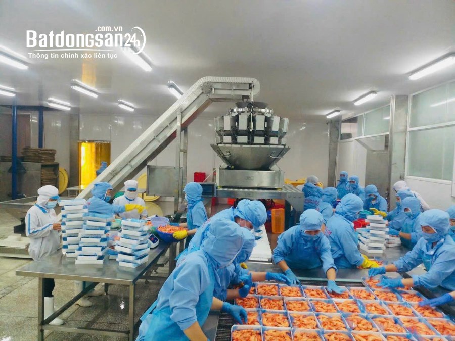 Bán xưởng đông lạnh thủy sản khu công nghiêp hải sơn, Đức Hòa