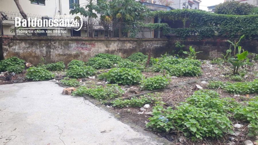 Bán 50m đất Biên Giang Hà Đông oto đỗ cửa 2 mặt ngõ, sát chợ giá 2,88 tỷ