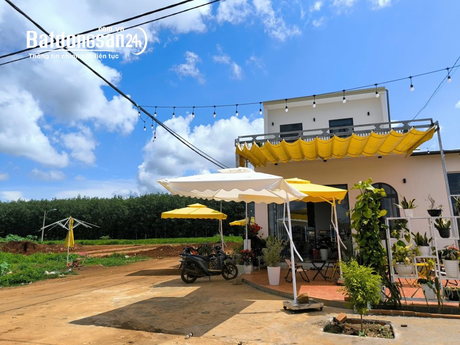 Chính chủ cần bán gấp lô đất nền kề Ủy Ban Xã Phú Lộc - Krông Năng.