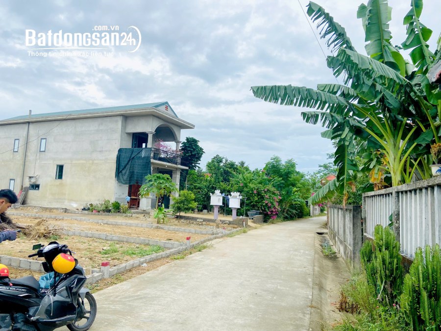 Bán đất nền phân lô Đường Lý Thái Tổ, Phường An Hòa, Thành phố Huế