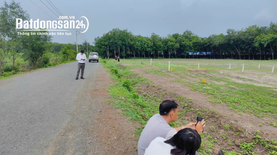Bán đất ngộp ngay Trung Tâm ubnd, Quang Minh, TX Chơn Thành, diện tích 280m2 giá 4xx