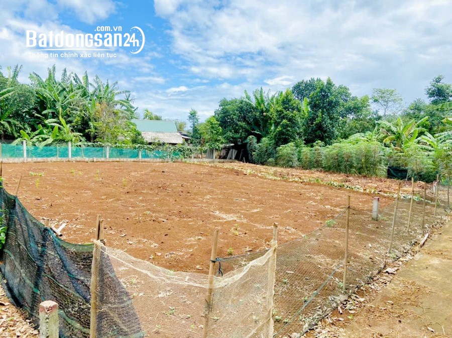 Bán đất Đường Số 9, Xã Vĩnh Hòa, Huyện Vĩnh Linh