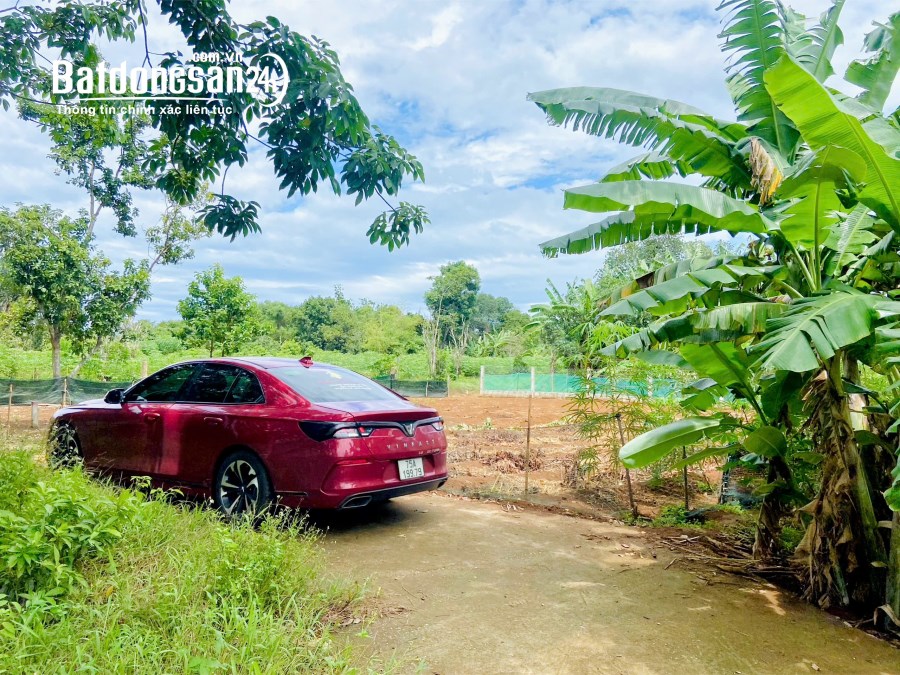 Bán đất Đường Số 9, Xã Vĩnh Hòa, Huyện Vĩnh Linh