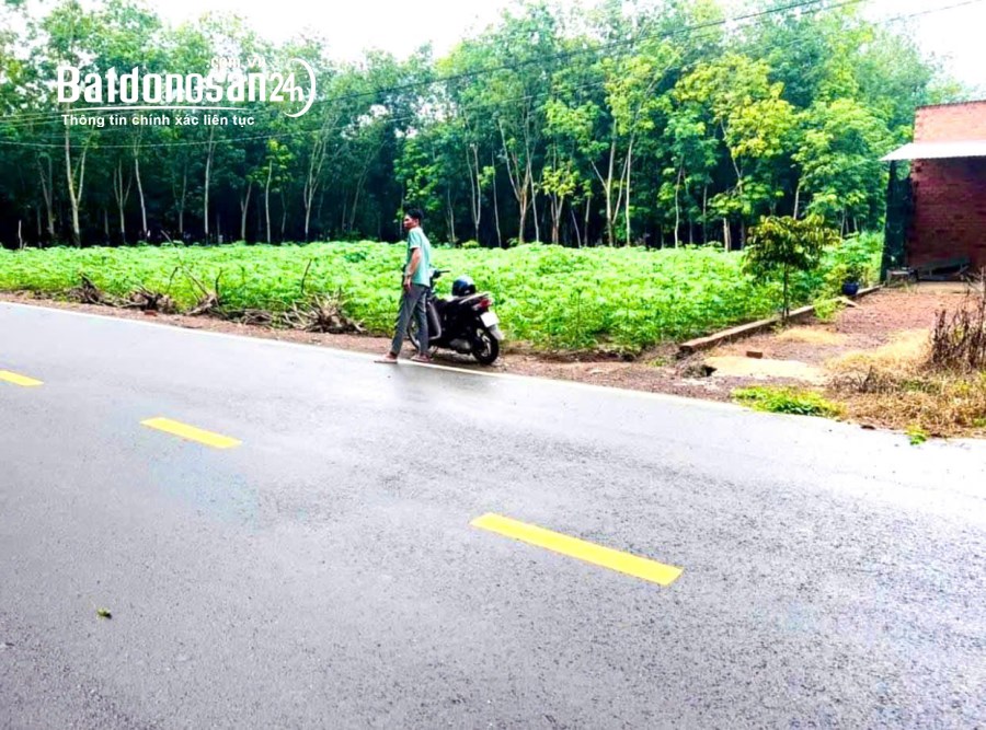 Bán đất Đường ĐT 751, Xã Minh Hưng, TX Chơn Thành