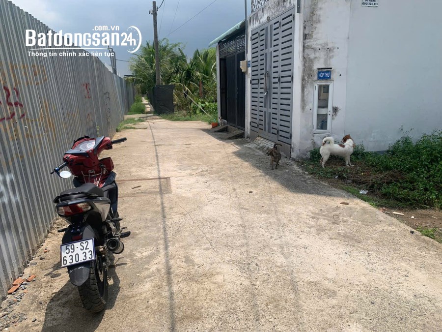 Bán đất Đường Trường Lưu, Phường Long Trường, TP Thủ Đức (Quận 9)