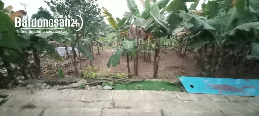 Đất đấu giá Biên Giang Hà Đông 70m gần QL6 giá chưa đến 3 tỷ