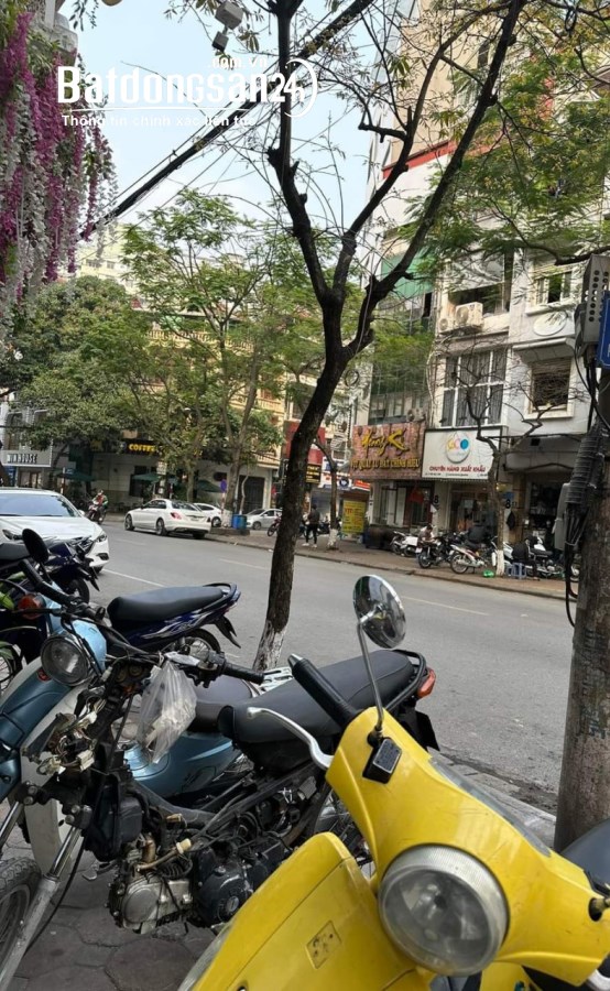 Bán căn nhà Trần Quý Kiên 85m2, mặt tiền 5.7m, ngõ Ô tô tránh, Kinh doanh, giá 29.8