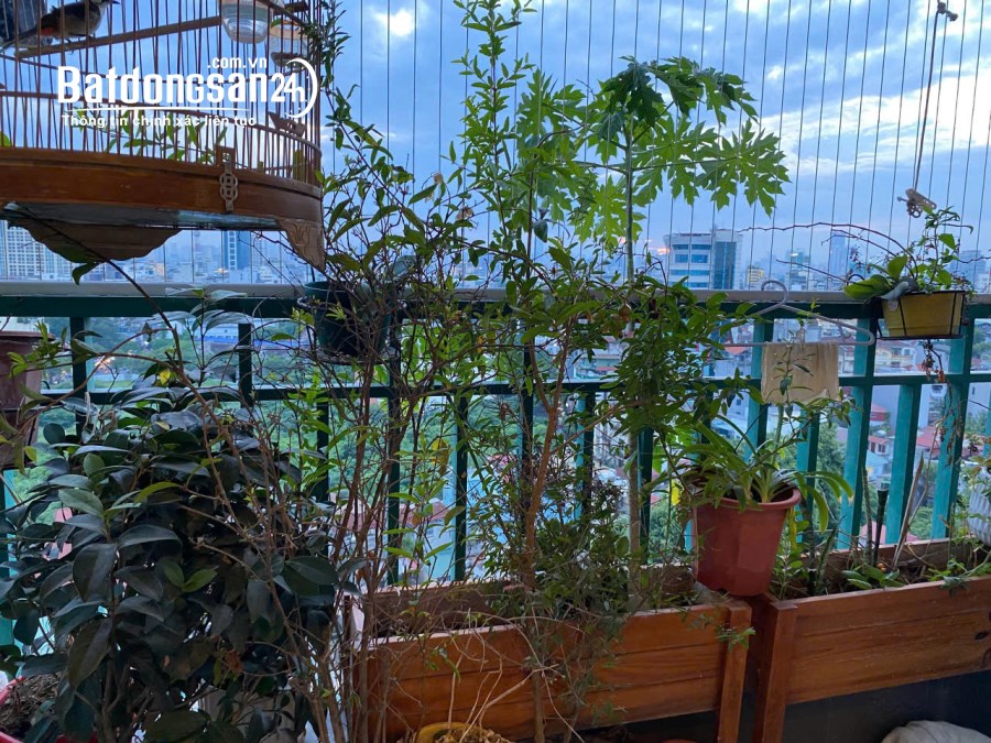 Chính chủ bán căn hộ tầng 10 chung cư Kinh Đô 93 Lò Đúc 94.6m2 giá 7.xx tỷ