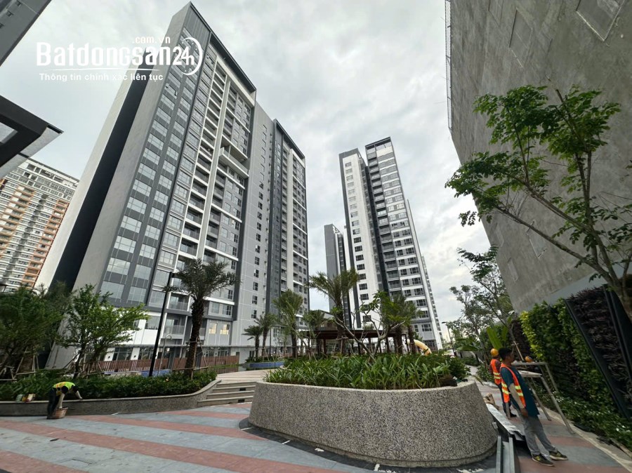 Celesta Rise Keppel Land - Rổ hàng chuyển nhượng chỉ từ 3,x tỷ - Nhận nhà ngay!