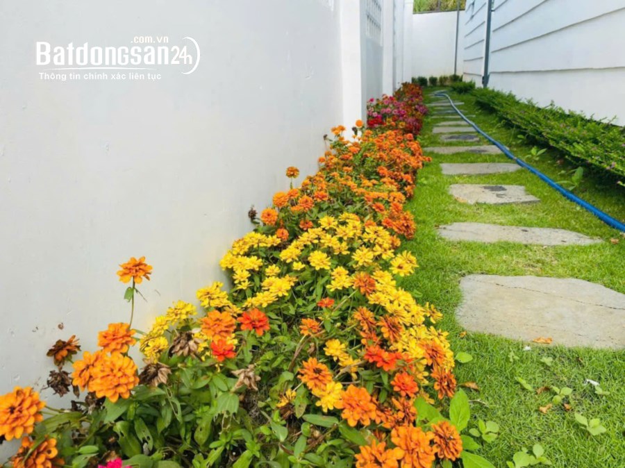 Bán biệt thự, villas Đường Mạc Đĩnh Chi, Tp Bảo Lộc