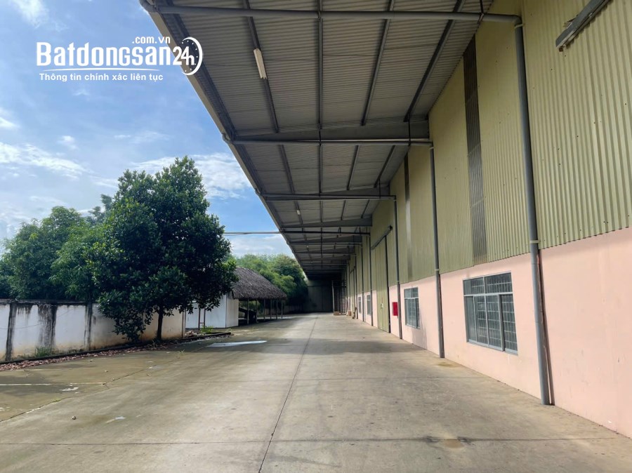 Cty Cần Cho Thuê 9.500m2 Kho Xưởng Tại Bến Cát Bình Dương Giá 2.8