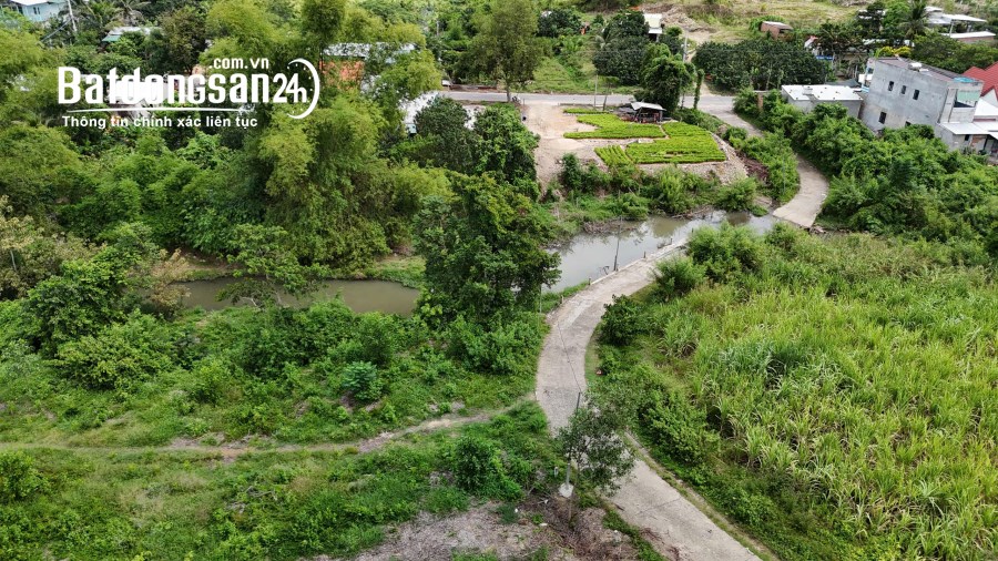 Bán đất 1,5 hecta giáp Suối cạnh Đường Tỉnh Lộ 8B, Xã Khánh Nam, Huyện Khánh Vĩnh