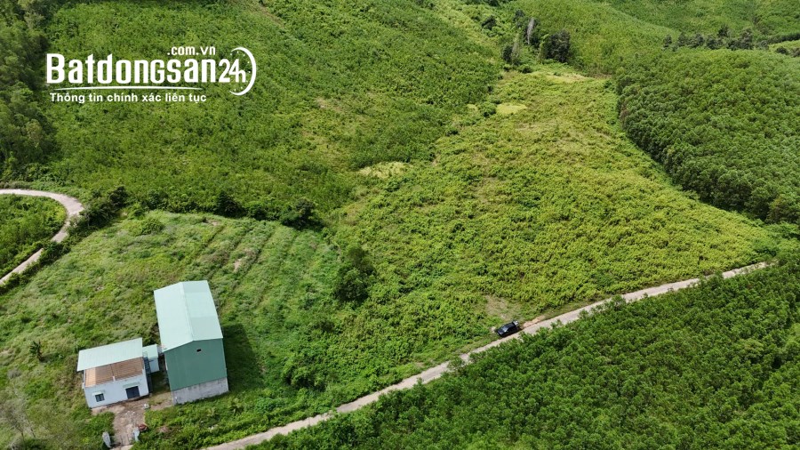 Bán 1,4 hecta đất gần Đường Tỉnh Lộ 8B, Xã Khánh Nam, Huyện Khánh Vĩnh giá rẻ