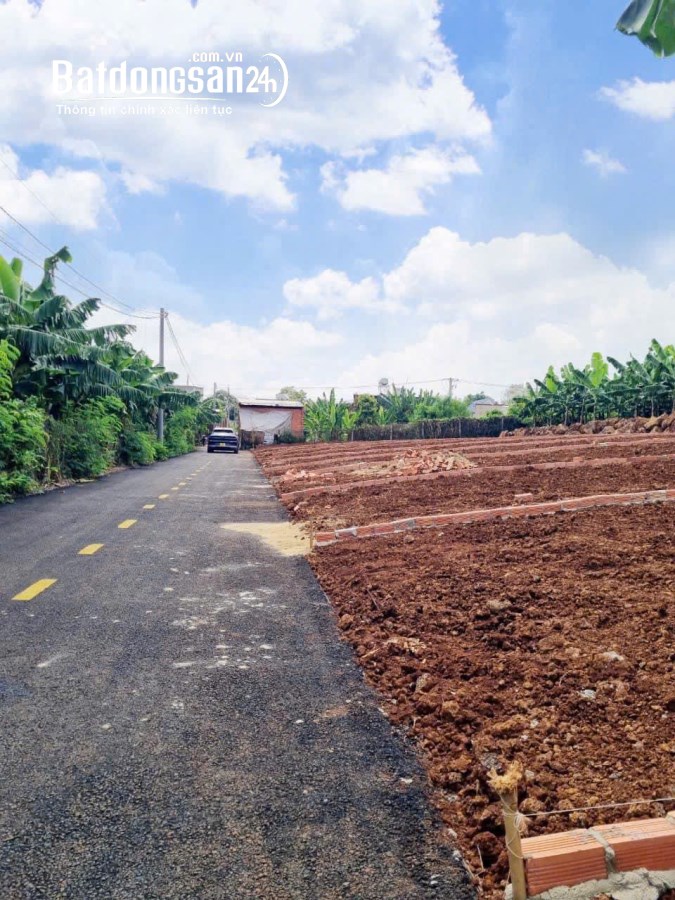 Bán đất Đường Nguyễn Hoàng, Xã Thanh Bình, Huyện Trảng Bom