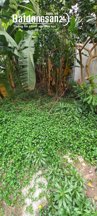 Bán 35m đất Biên Giang Hà Đông oto đỗ cửa giá 1,55 tỷ