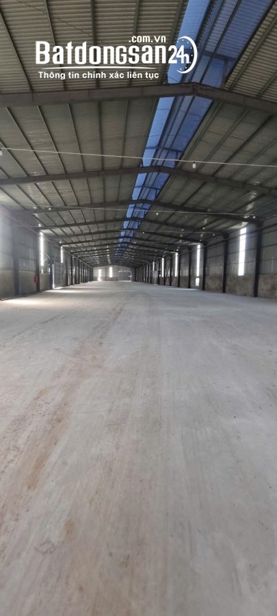 Cho thuê đất riêng, kho xưởng Đường Quốc lộ 1A, Phường Hòa Nhơn, Huyện Hòa Vang