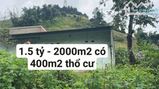 Bán đất Vân Hồ - Mộc Châu gần điểm ra cao tốc chỉ 1.5 tỷ hơn 2000m2 có 400m2 thổ cư