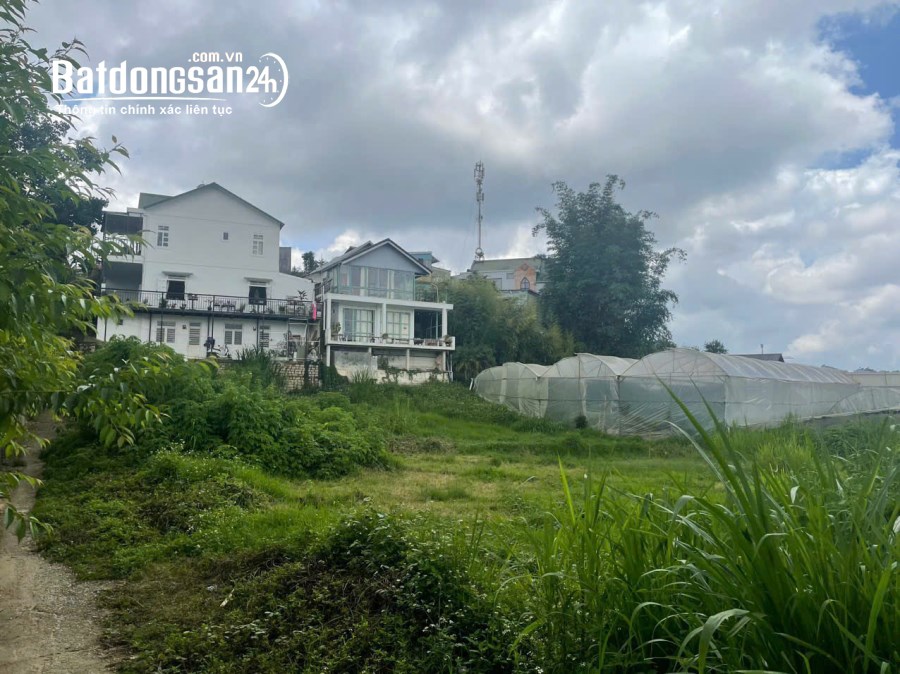Bán đất Đường Lý Nam Đế, Phường 8, TP Đà Lạt