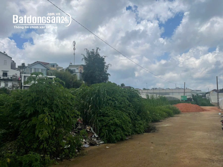 Bán đất Đường Lý Nam Đế, Phường 8, TP Đà Lạt