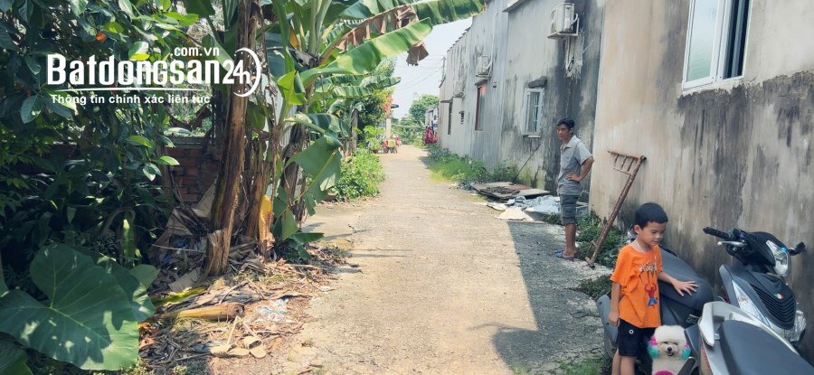 Lô đất SHR sông trầu trảng bom, giá 650 tr đất sạch full, đường betong, Dt; 5x33m, 