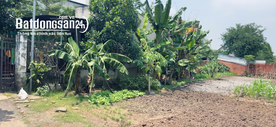 Lô đất SHR sông trầu trảng bom, giá 650 tr đất sạch full, đường betong, Dt; 5x33m, 