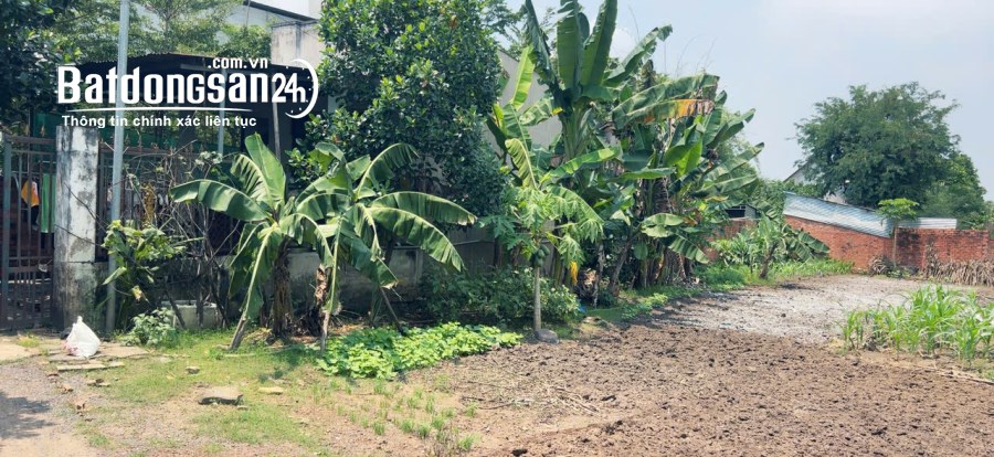 Bán đất Đường Thác Đá Hàn, Xã Sông Trầu, Huyện Trảng Bom