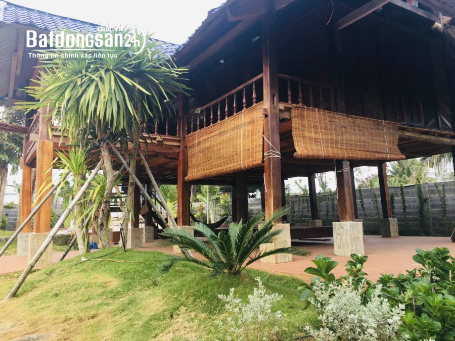 Bán nghà vườn Nghĩ dưỡng tại thôn 2 xã Ea Kao, TP Buôn Ma Thuột