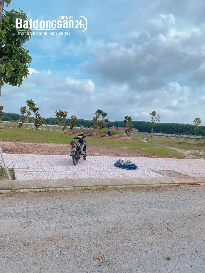 Bán đất nền phân lô Đường ĐT 741, Xã Phước Hòa , Huyện Phú Giáo
