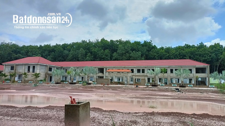 Bán đất nền phân lô Đường ĐT 741, Xã Phước Hòa , Huyện Phú Giáo