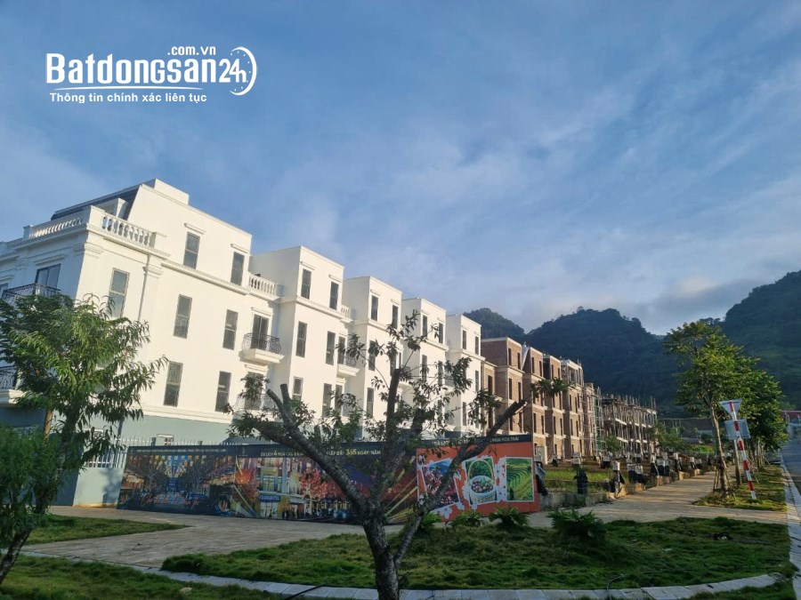  Bán gấp 3 lô ngoại giao Panance Hill Mộc Châu vị trí đắc địa