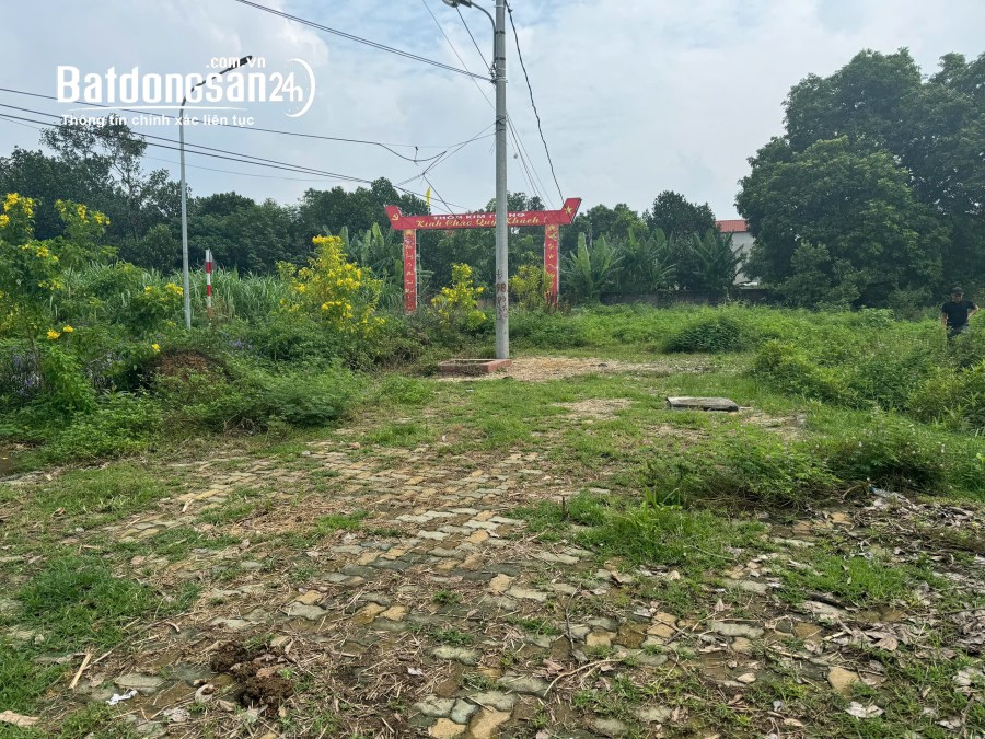 Cần bán đất chính chủ tại xã kim sơn , thị xã sơn tây ,hà nội