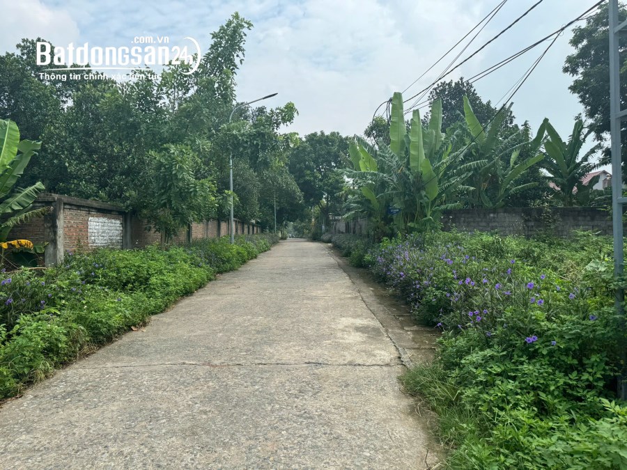 Cần bán đất chính chủ tại xã kim sơn , thị xã sơn tây ,hà nội