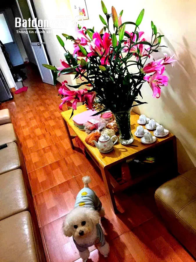 NHÀ MẶT PHỐ Trường Chinh, Đống Đa 21M2, 5 TẦNG, MẶT TIỀN 2.1M, 8.2 TỶ,