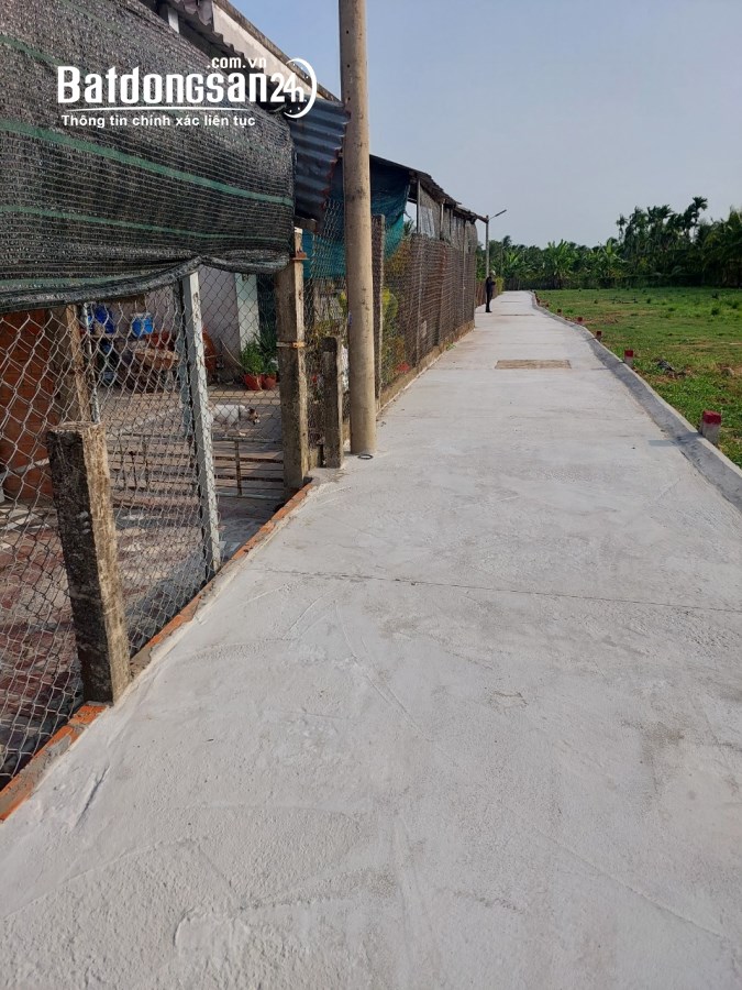 Bán đất Đường Quốc lộ 50, Xã Mỹ Phong, TP - Mỹ Tho