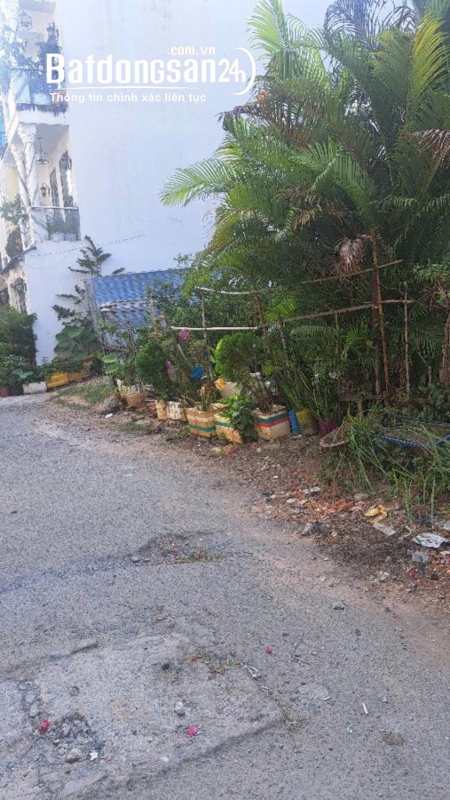 Đất nền khu Sài Gòn Mới 71 Đào Tông Nguyên Thị Trấn Nhà Bè Đường nhựa