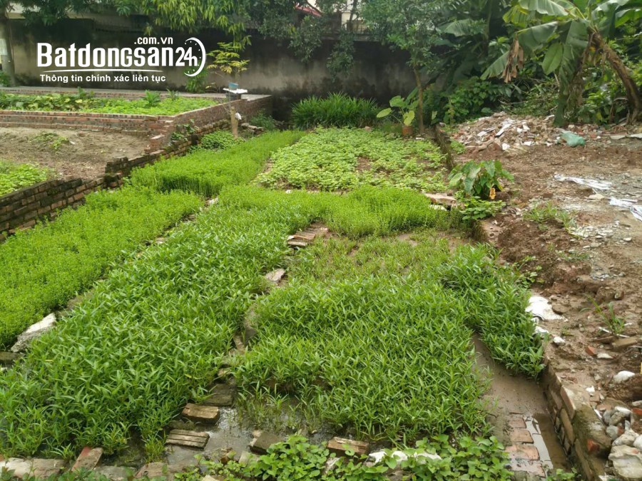 Bán 100m2 đất PL Xã Kim Chung, Huyện Hoài Đức, mt 5m - ô tô tránh - giá 7,5 tỷ TL