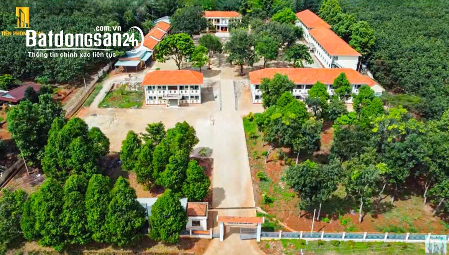 CHÍNH CHỦ KẸT NỢ BÁN LÔ ĐẤT GIÁ NGỘP CHỈ 250 TRIỆU QUAY ĐẦU, SỔ SẴN