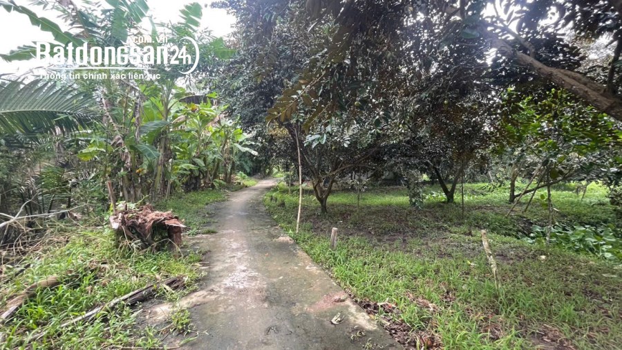 Nền 323m2 có 100m2 thổ cư Giai Xuân, Phong Điền