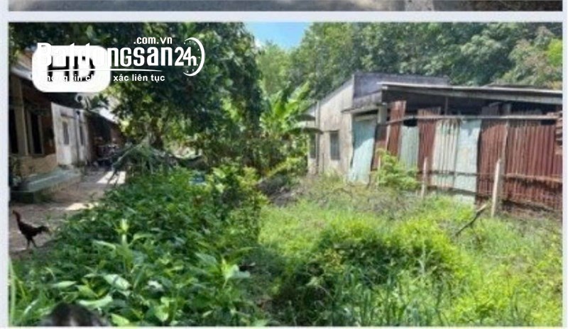 Cần bán 675m2, Mặt tiền Bà Thiên, Xã Nhuận Đức, Củ Chi, Giá Chốt 4.3