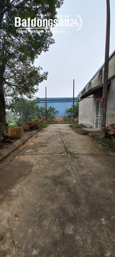 Đất đấu giá Biên Giang Hà Đông 60m sát vách QL6 giá 5,2 tỷ