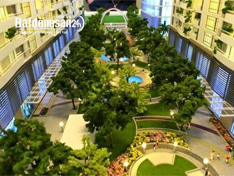 HoT…. Bán căn hoa hậu đẹp nhất dự án Tràng An Complex  143m2 giá thấp thôi ạ
